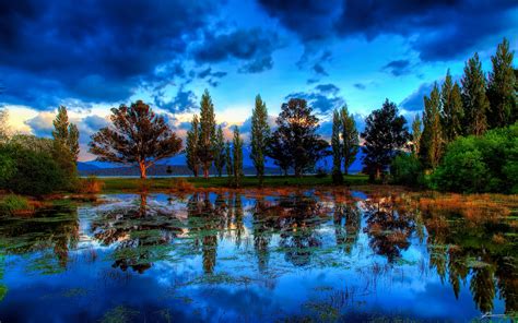 Swamp With Dry Grass Trees Reflecting Water Sky With Dark Clouds