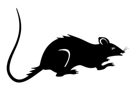 Rat Silhouette Vectors Photos And Psd Files Free Download