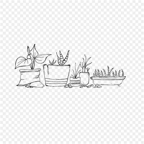 Gambar Sketsa Pot Bunga Di Taman Bunga Pot Menanam Png Dan Vektor