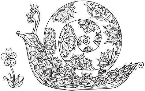 Maybe you would like to learn more about one of these? Snail Doodle by WelshPixie on DeviantArt