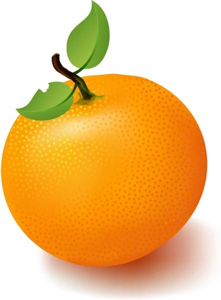 Mandarin Orange Clipart Clipground