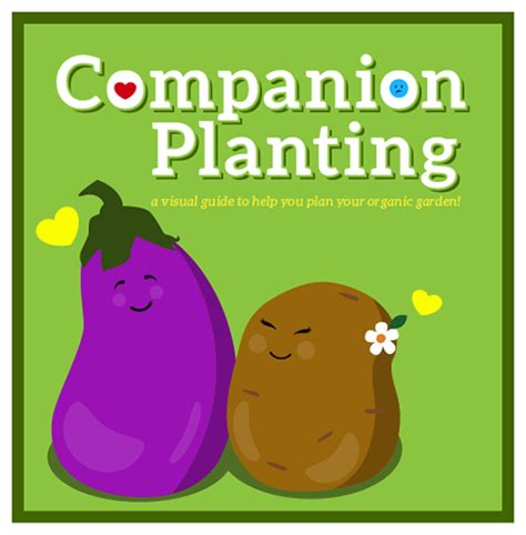 Companion Planting Friend Or Foe Companion Planting Companion
