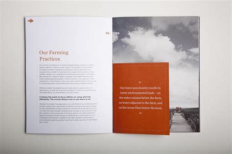 Call Out Quotes Indesign Brochure Print Brochure