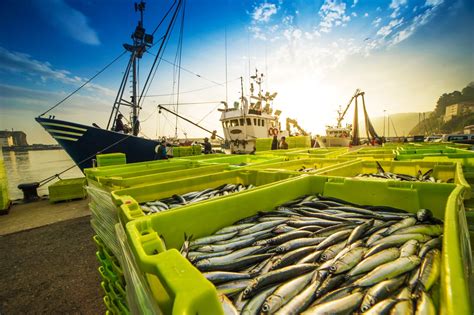 How Do Governments Regulate The Fishing Industry