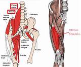 Role Of Core Muscles Pictures