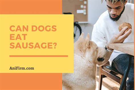 Can Dogs Eat Sausages Are Sausages Healthy For Dogs