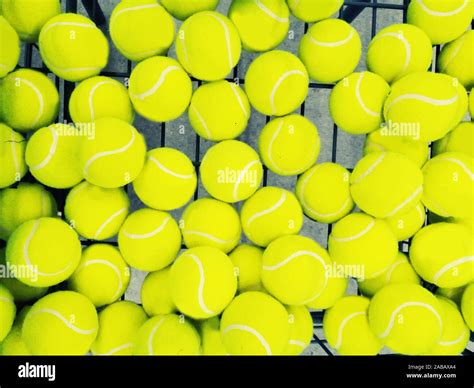 Lot Of Bright Yellow Tennis Balls As A Background Grouping Of Tennis