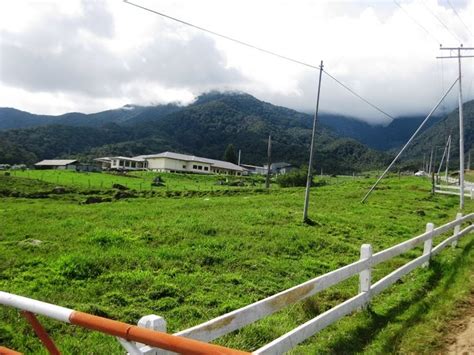 Desa daily farm is one of the main attraction at kundasang. KINABALU: DESA DAIRY FARM KUNDASANG