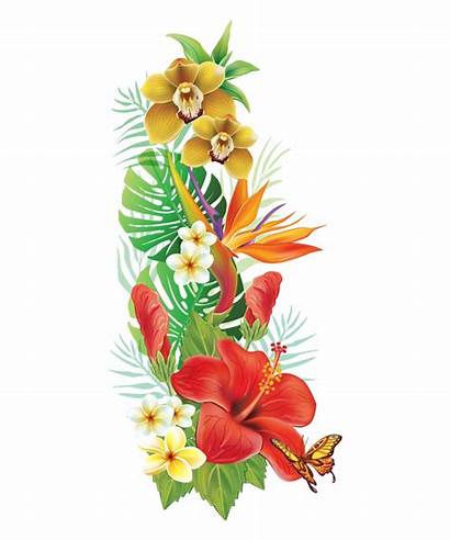 Moana Tropical Flowers Flower Clipart Crown Hawaiian