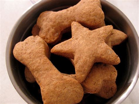 Eat your veggies dog treat recipe. Homemade (Healthy) Dog Treat Recipes · How To Cook Pet ...
