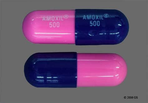 Indiamart > anti infective drugs & medicines > antibiotic tablets,capsule & syrup. Amoxil Oral Capsule 500Mg Drug Medication Dosage Information