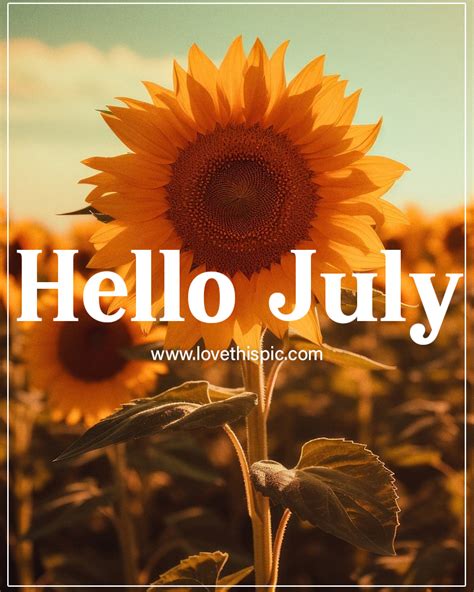 Hello July With Sunflower Pictures Photos And Images For Facebook