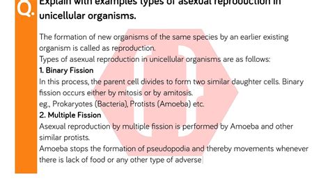 Explain With Examples Types Of Asexual Reproduction In Unicellular