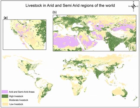 A World Map Representing Arid And Semi Arid Regions With Livestock
