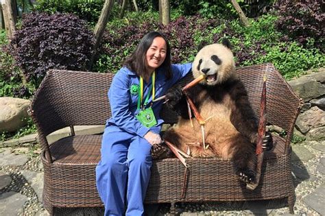 Wonderful Times With The Pandas Review Of China Highlights Chengdu