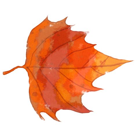 Watercolor Autumn Leaf 12959356 Png