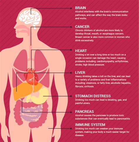 The Effects Of Alcohol On The Body Alcohol Effects On Body Effects