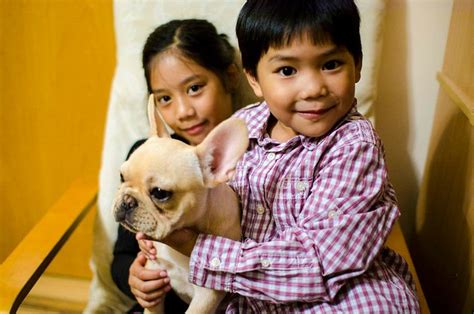 8 Awesome Benefits Of Pets On Kids Overall Health Techie Kids