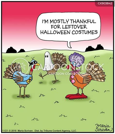 List 103 Pictures Funny Pictures Of Turkeys For Thanksgiving Superb