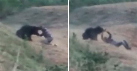 Man Mauled To Death While Trying To Take Selfie With Bear Maxim