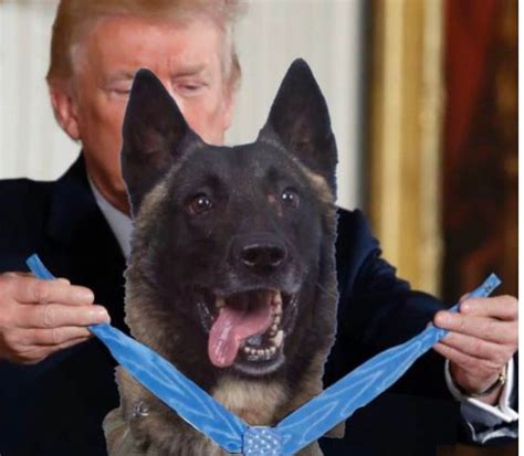 Trump Tweets Medal Of Honor Photo With Dog That Replaced James