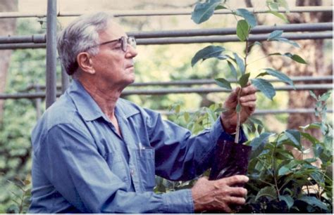 Remembering Dr Frank H Wadsworth Founder Of The Luquillo Lter Lter