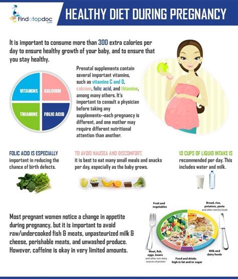 Healthy Diet During Pregnancy Infographic