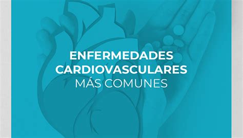 Enfermedades Cardiovasculares Más Comunes Ccm Consultas