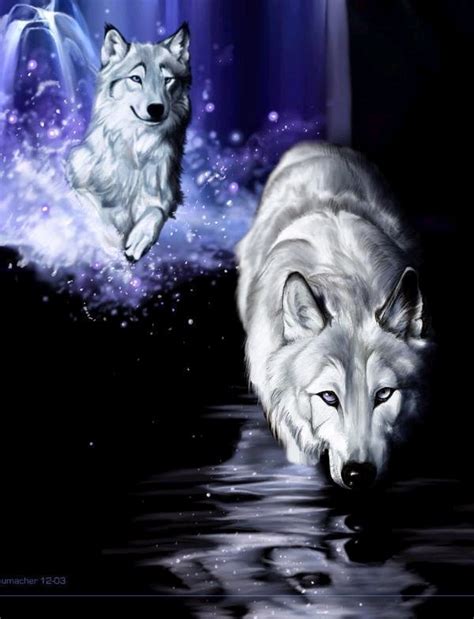 Wolves In Water Picture Ebaums World