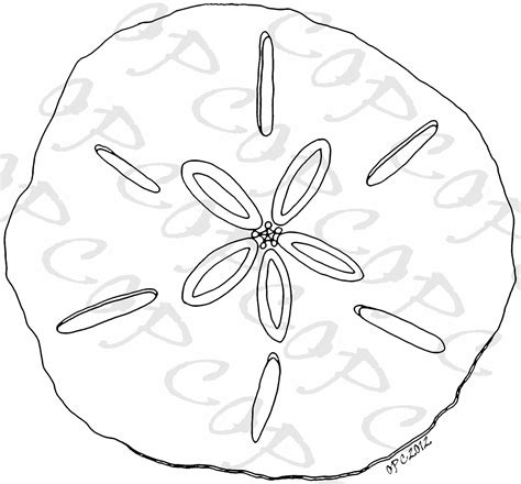 Sand Dollar Coloring Page at GetDrawings | Free download