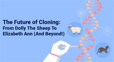 Cloning Meaning