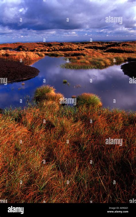 Site Of Special Scientific Interest Peat Bog Black Hill Plateau