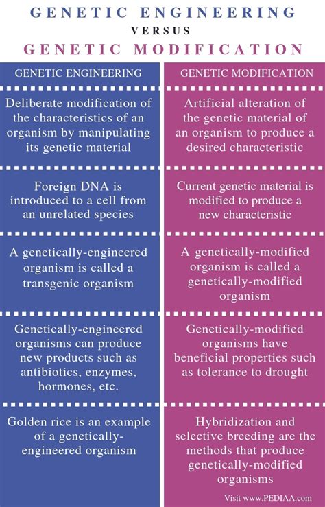 Cloning can be done using somatic cell nuclear transfer. What is the Difference Between Genetic Engineering and ...