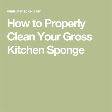 How To Properly Clean Your Gross Kitchen Sponge Kitchen Sponge Cleaning Cigars And Whiskey