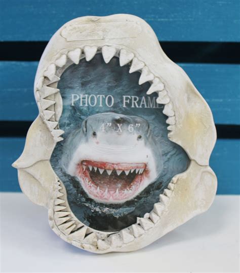 Shark Jaw Picture Frame Nautical Photo Frame California Seashell