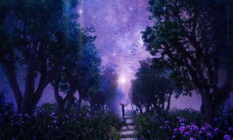 Обои лес звездное небо арт фиолетовый сказочный Hd широкоформатный