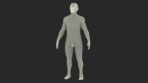 male body nude anatomy 3d model turbosquid 1465412