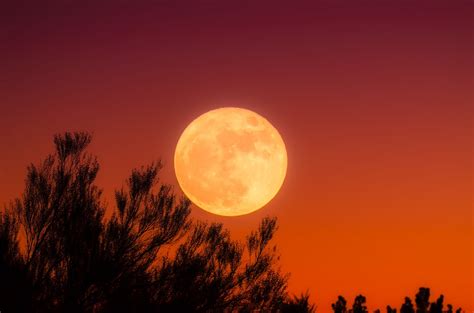 Harvest Moon 2022 New Englands Smoky Haze May Create A Reddish Tint