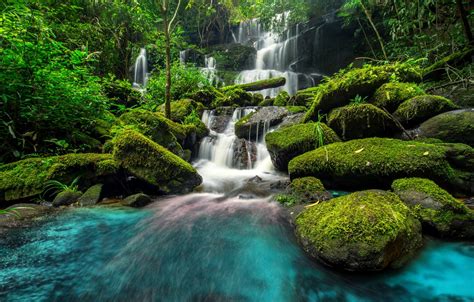 Wallpaper Forest River Waterfall Forest River Jungle Beautiful