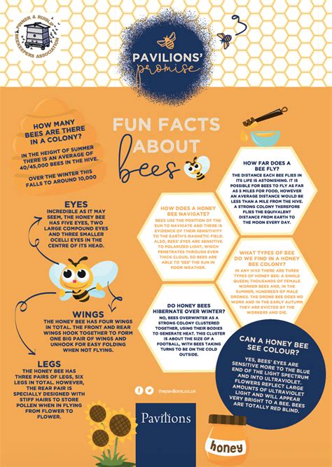 Fun Facts About Bees The Pavilions