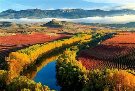 Arte y vino en La Rioja