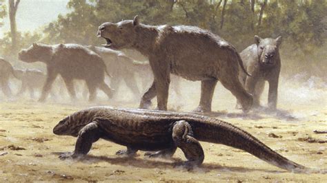 Giant Reptiles Once Ruled Australia Their Loss Sparked An Ecological