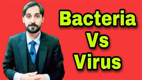 Difference Between Bacteria And Virus Bacteria Vs Virus Youtube