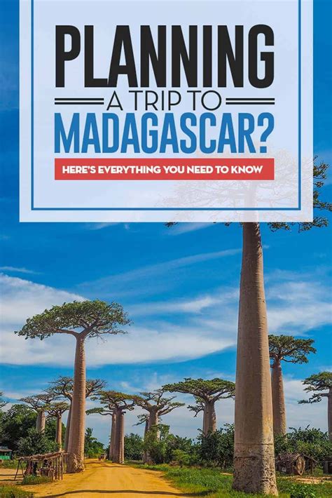Madagascar Travel Guide Everything You Need To Know Before Traveling