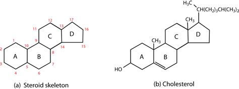 Steroid Chemistry