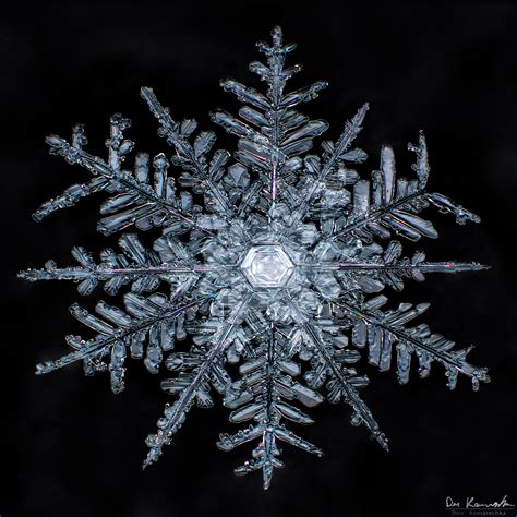 Unraveling The Mysteries Of Snowflakes Book Sky Crystals