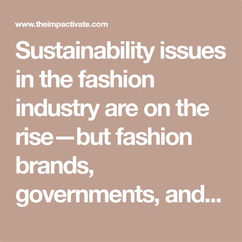 Sustainability Issues In The Fashion Industry Are On The Risebut Fashion Brands Governments