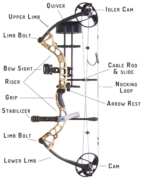 How Does A Compound Bow Work