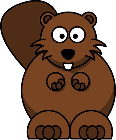 Beaver With Big Eyes Clipart Free Download Transparent Png Creazilla