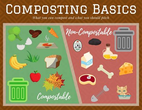 Composting 101 What Why And How To Compost At Home ~ Homestead And Chill